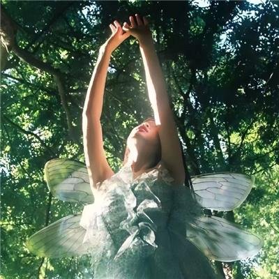几度菊花香